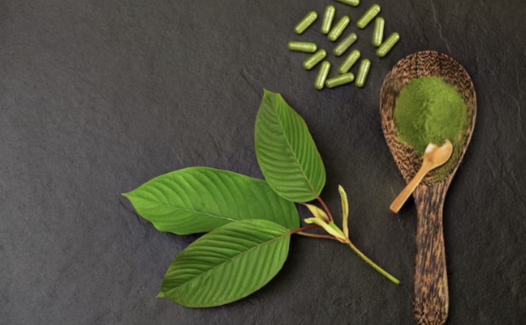 Natural Kratom Varieties Supporting Steady Energy During Everyday Responsibilities