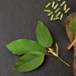 Natural Kratom Varieties Supporting Steady Energy During Everyday Responsibilities