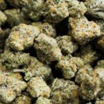 Hybrid Delta 8 Flower Balancing Multiple Strain Traits Within Single Products