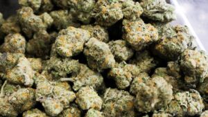Hybrid Delta 8 Flower Balancing Multiple Strain Traits Within Single Products